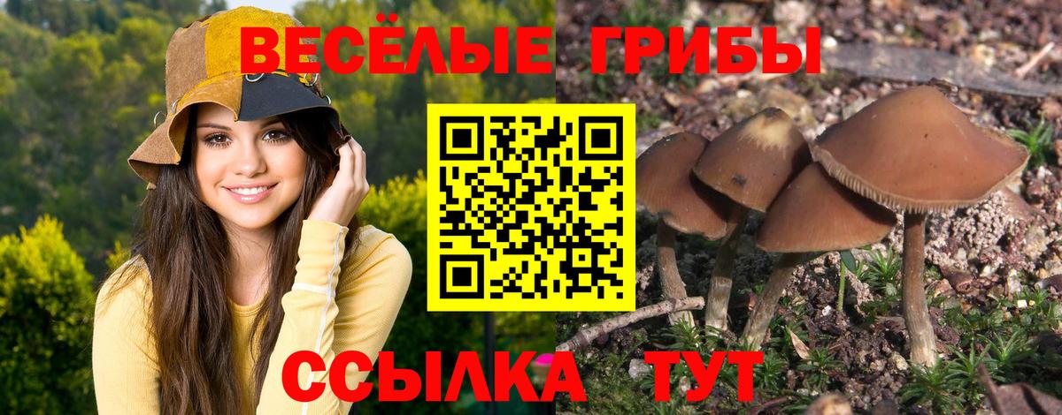 Галлюциногенные грибы GOLDEN TEACHER  Вход с VPN  Курган 